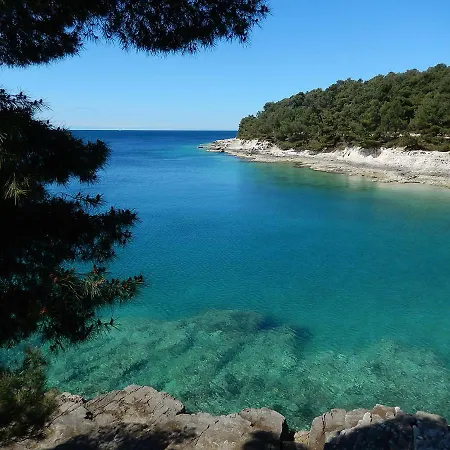 Luxury Tara Near The Sea And The Beaches *
